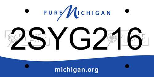 2SYG216 Michigan License Plate