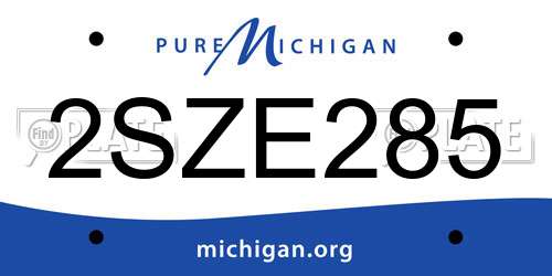 2SZE285 Michigan License Plate