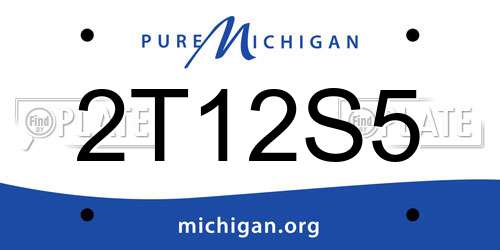 2T12S5 Michigan License Plate