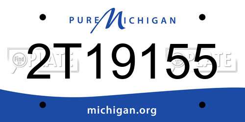2T19155 Michigan License Plate