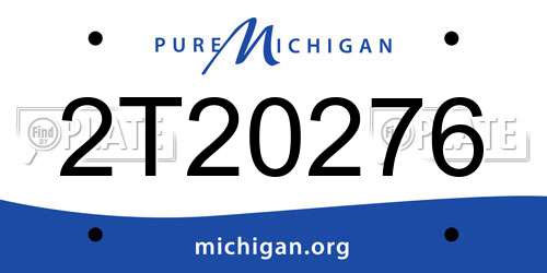2T20276 Michigan License Plate