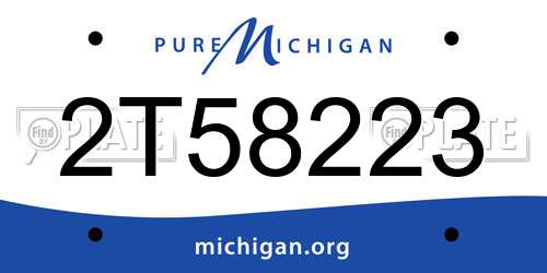 2T58223 Michigan License Plate