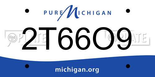 2T66O9 Michigan License Plate