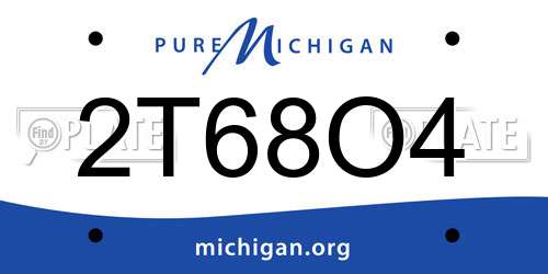 2T68O4 Michigan License Plate