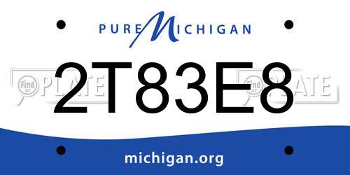 2T83E8 Michigan License Plate