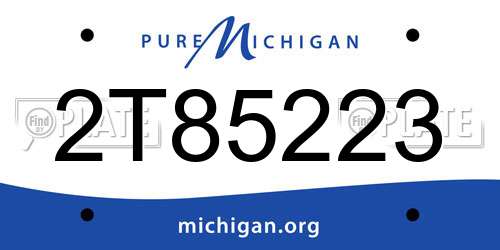 2T85223 Michigan License Plate