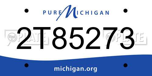 2T85273 Michigan License Plate
