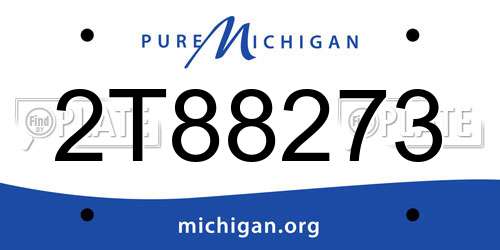 2T88273 Michigan License Plate