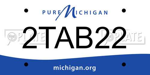 2TAB22 Michigan License Plate