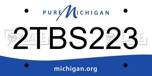 2TBS223 Michigan License Plate