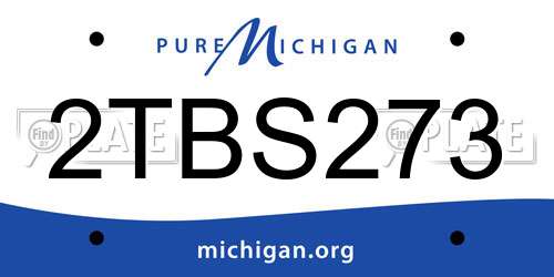 2TBS273 Michigan License Plate