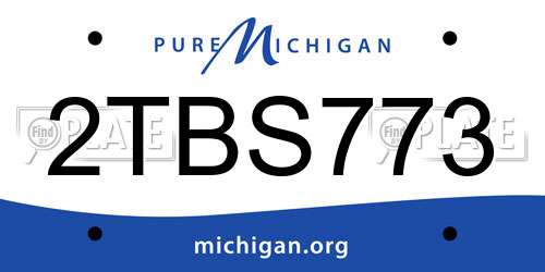 2TBS773 Michigan License Plate