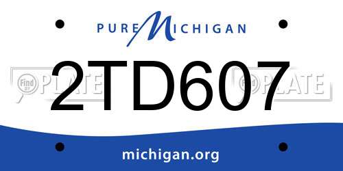 2TD607 Michigan License Plate