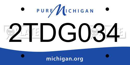 2TDG034 Michigan License Plate