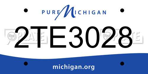 2TE3028 Michigan License Plate