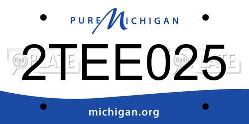2TEE025 Michigan License Plate