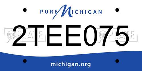 2TEE075 Michigan License Plate