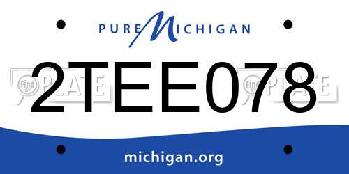 2TEE078 Michigan License Plate