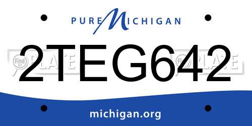 2TEG642 Michigan License Plate