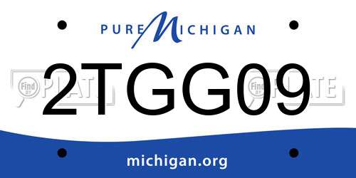 2TGG09 Michigan License Plate