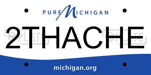 2THACHE Michigan License Plate