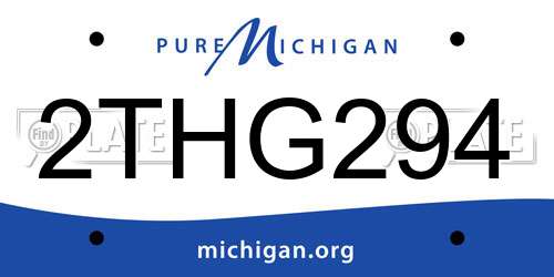 2THG294 Michigan License Plate