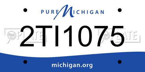 2TI1075 Michigan License Plate