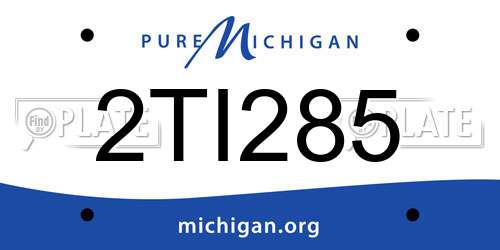 2TI285 Michigan License Plate