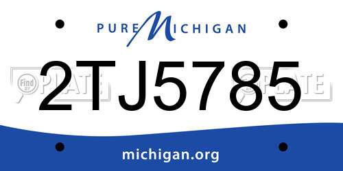 2TJ5785 Michigan License Plate