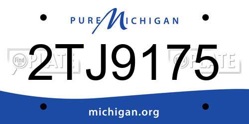 2TJ9175 Michigan License Plate