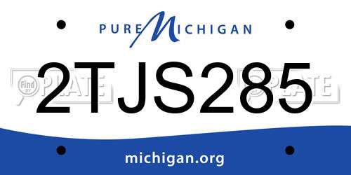 2TJS285 Michigan License Plate