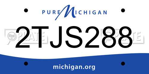 2TJS288 Michigan License Plate