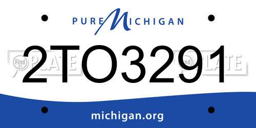 2TO3291 Michigan License Plate