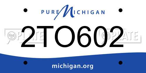2TO602 Michigan License Plate