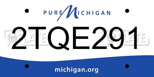 2TQE291 Michigan License Plate