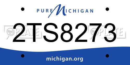 2TS8273 Michigan License Plate