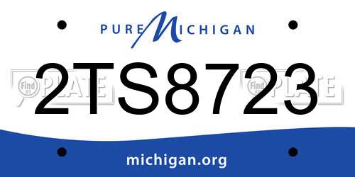 2TS8723 Michigan License Plate