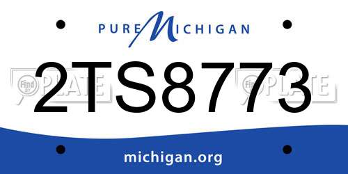 2TS8773 Michigan License Plate