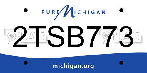 2TSB773 Michigan License Plate