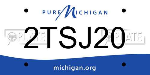 2TSJ20 Michigan License Plate