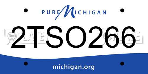 2TSO266 Michigan License Plate