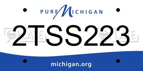 2TSS223 Michigan License Plate