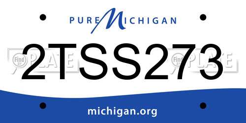 2TSS273 Michigan License Plate