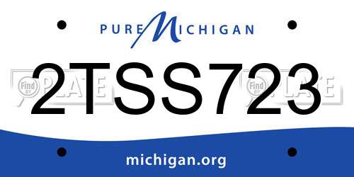 2TSS723 Michigan License Plate