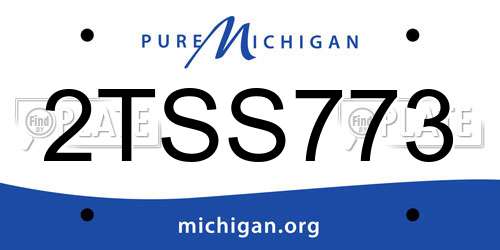 2TSS773 Michigan License Plate