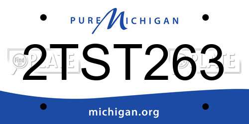 2TST263 Michigan License Plate