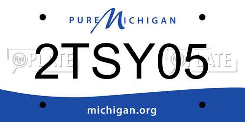 2TSY05 Michigan License Plate