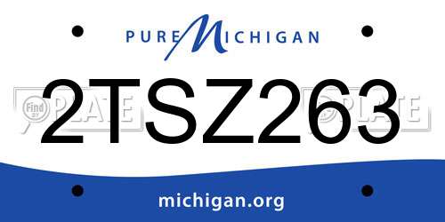 2TSZ263 Michigan License Plate