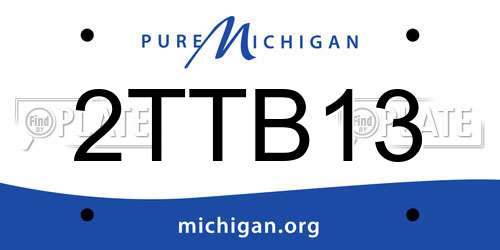 2TTB13 Michigan License Plate