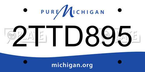 2TTD895 Michigan License Plate
